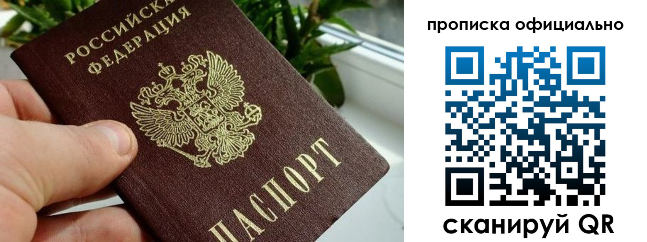 прописка поиск в Красном Куте